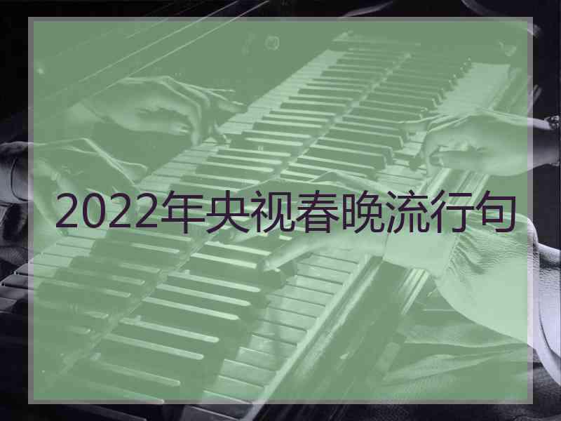 2022年央视春晚流行句