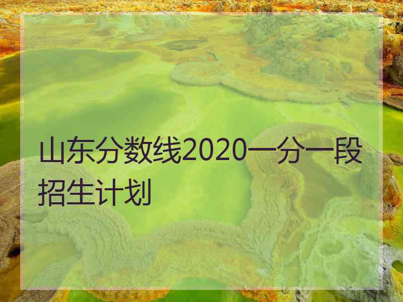 山东分数线2020一分一段招生计划