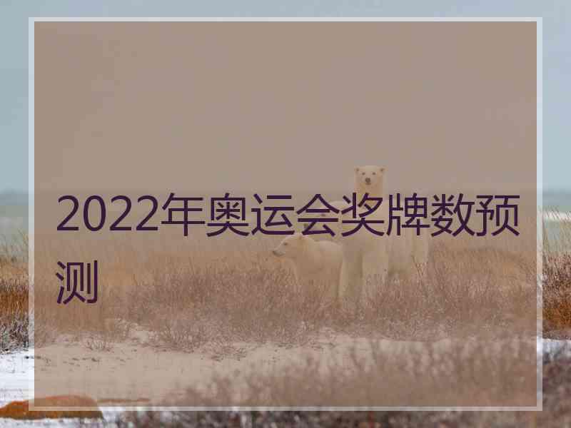 2022年奥运会奖牌数预测