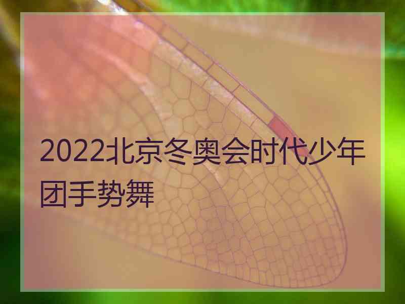 2022北京冬奥会时代少年团手势舞