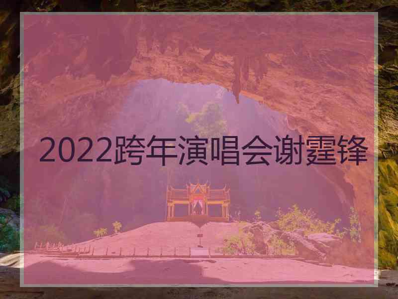 2022跨年演唱会谢霆锋