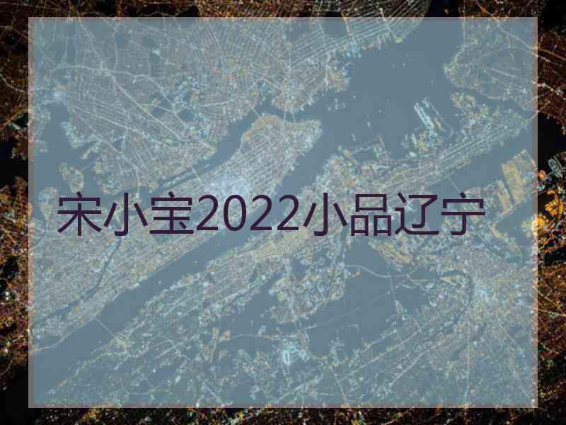 宋小宝2022小品辽宁