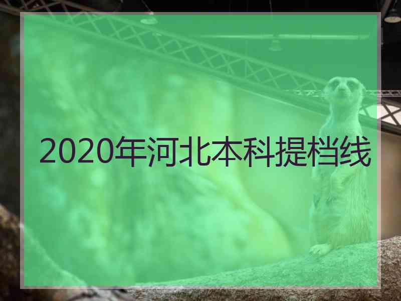 2020年河北本科提档线