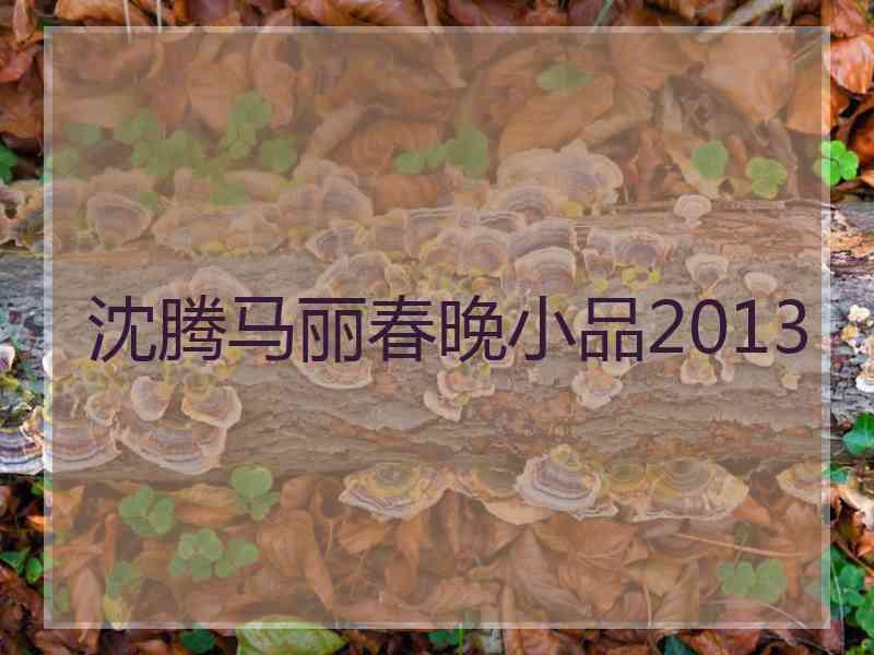 沈腾马丽春晚小品2013