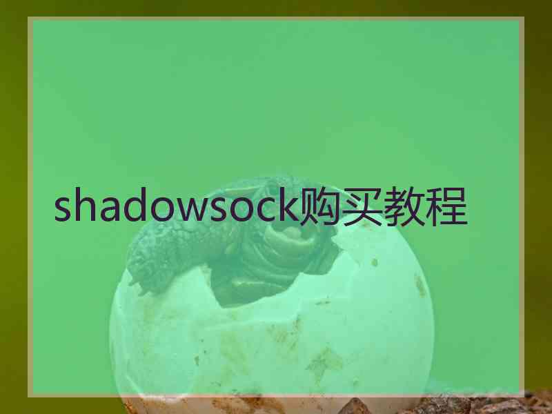 shadowsock购买教程