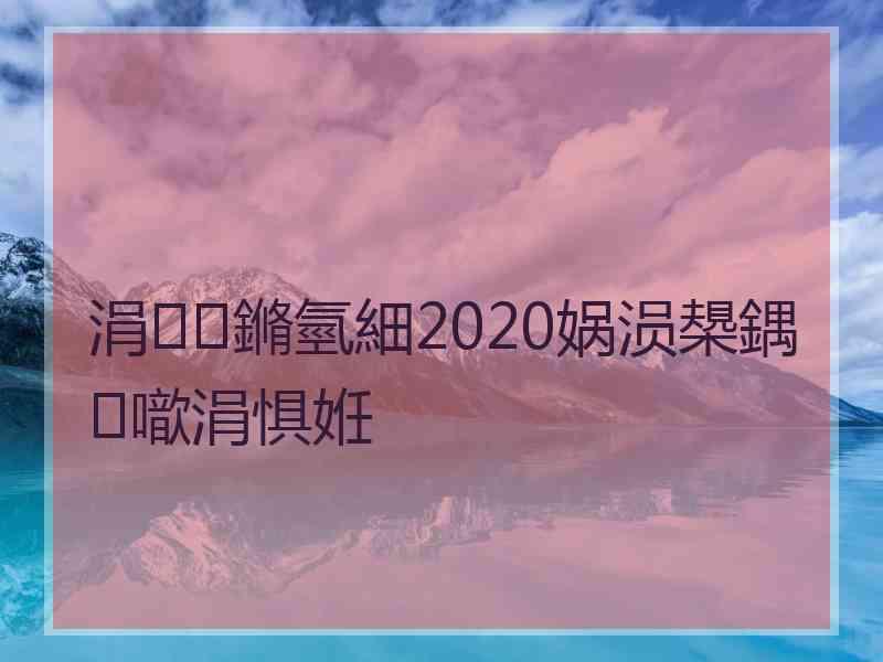 涓鏅氫細2020娲涢槼鍝噷涓惧姙