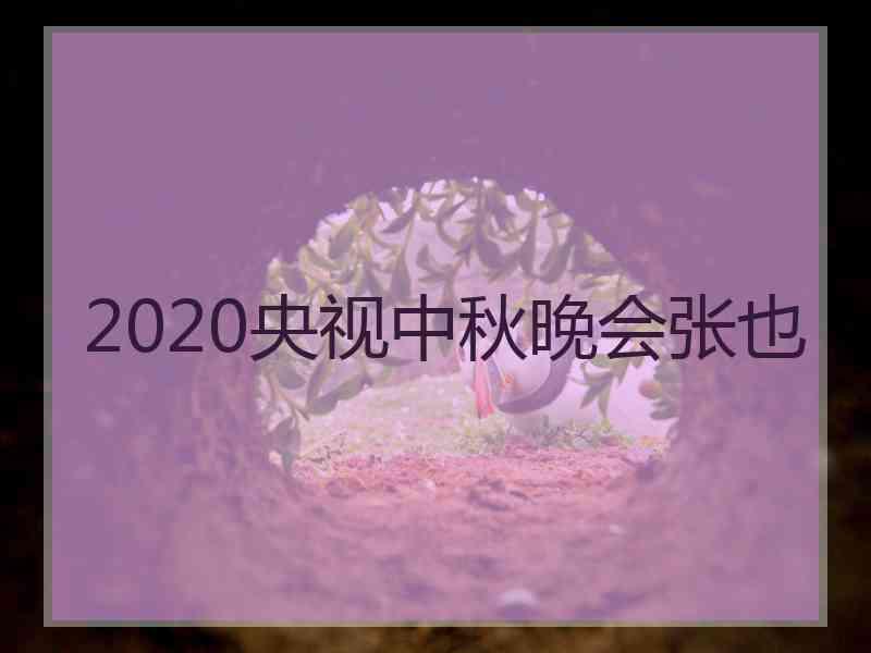 2020央视中秋晚会张也