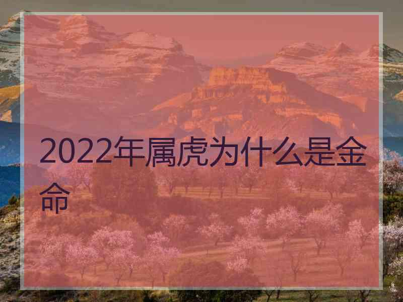 2022年属虎为什么是金命