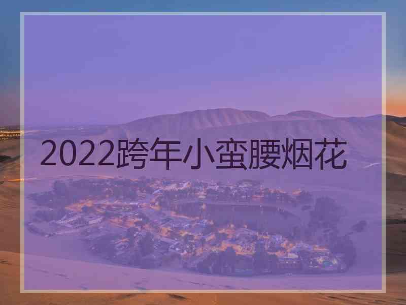 2022跨年小蛮腰烟花