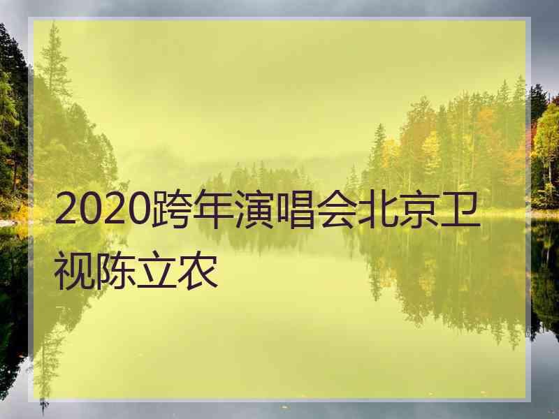 2020跨年演唱会北京卫视陈立农