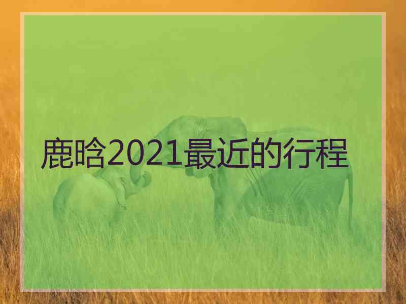 鹿晗2021最近的行程