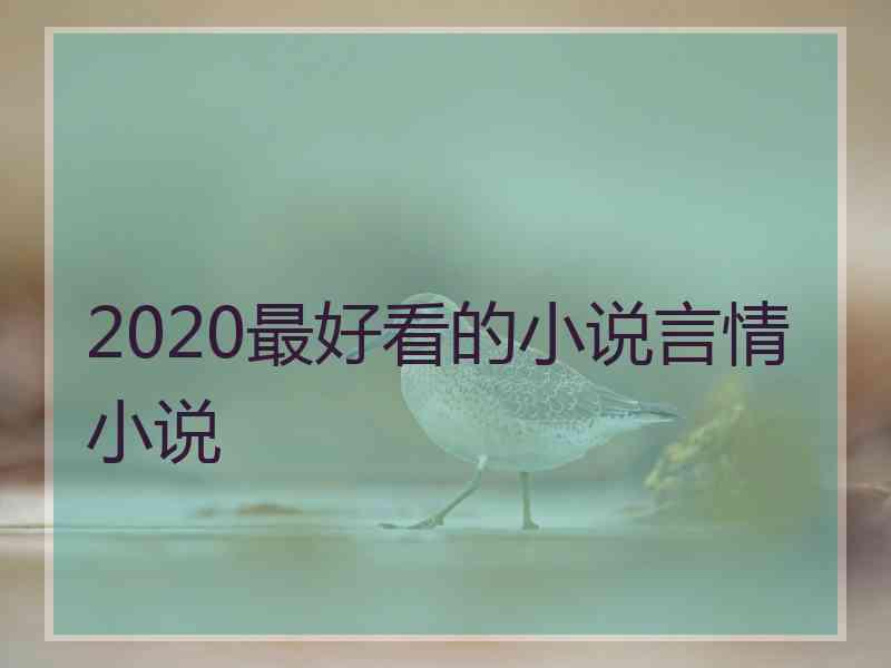 2020最好看的小说言情小说