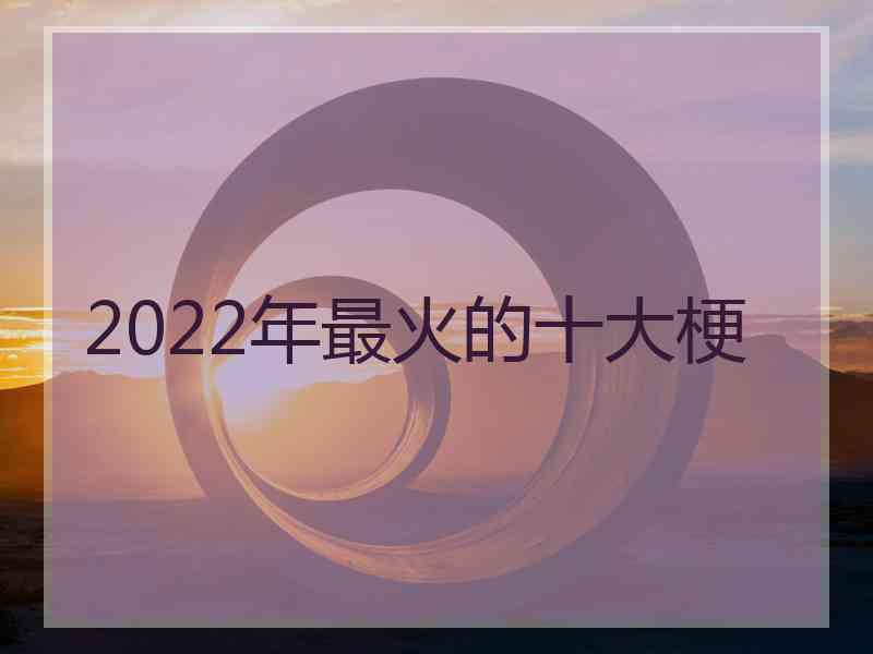 2022年最火的十大梗