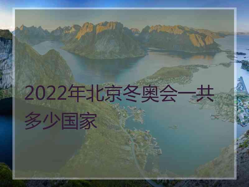 2022年北京冬奥会一共多少国家