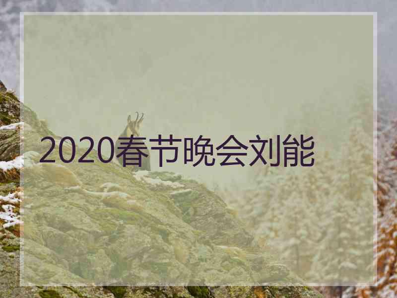 2020春节晚会刘能