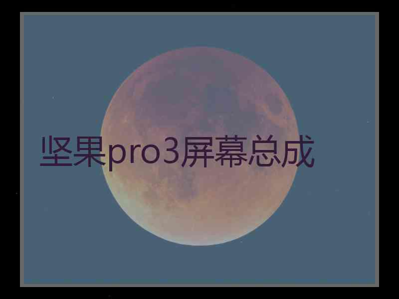 坚果pro3屏幕总成