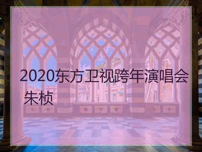 2020东方卫视跨年演唱会 朱桢