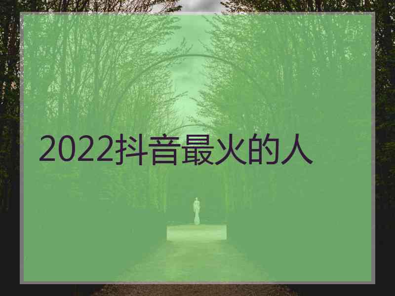 2022抖音最火的人