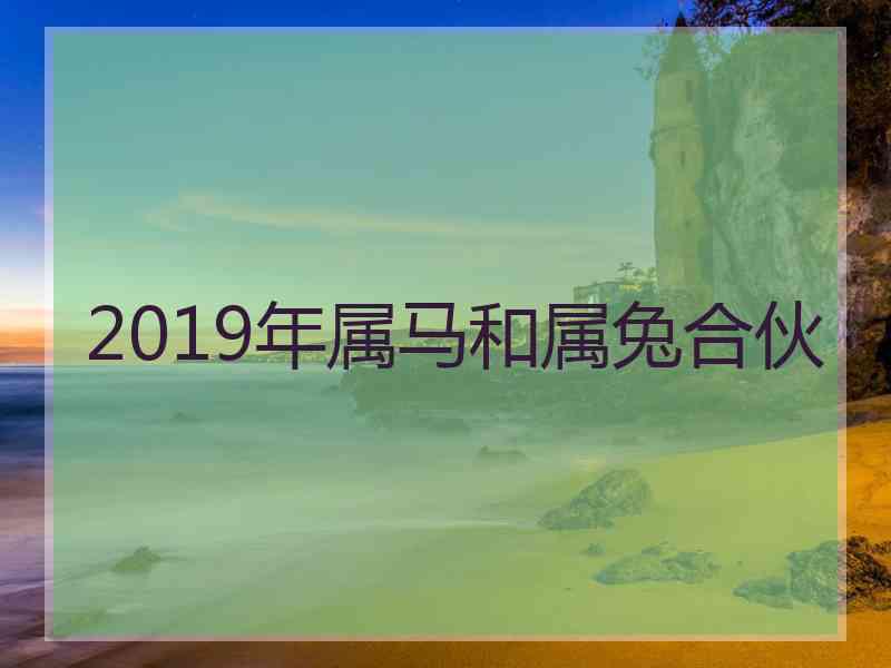 2019年属马和属兔合伙