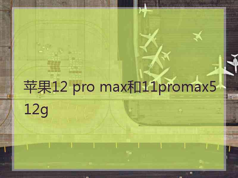 苹果12 pro max和11promax512g