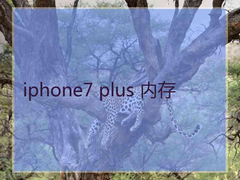 iphone7 plus 内存