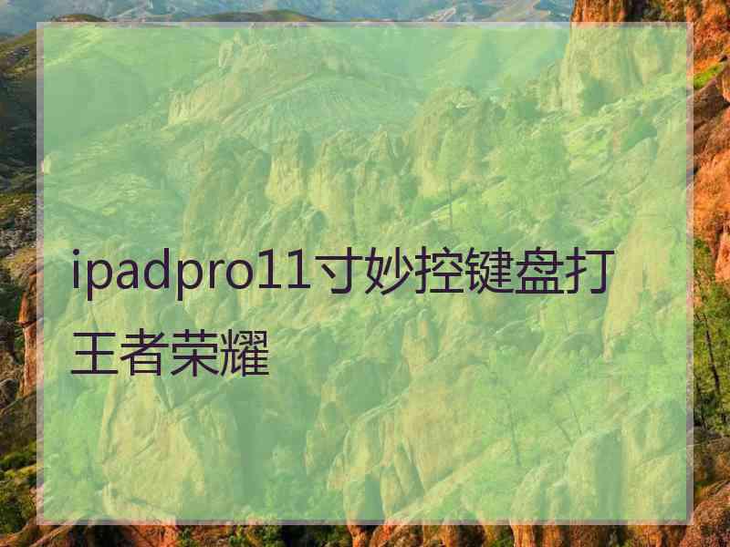 ipadpro11寸妙控键盘打王者荣耀