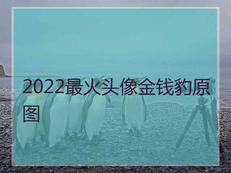 2022最火头像金钱豹原图