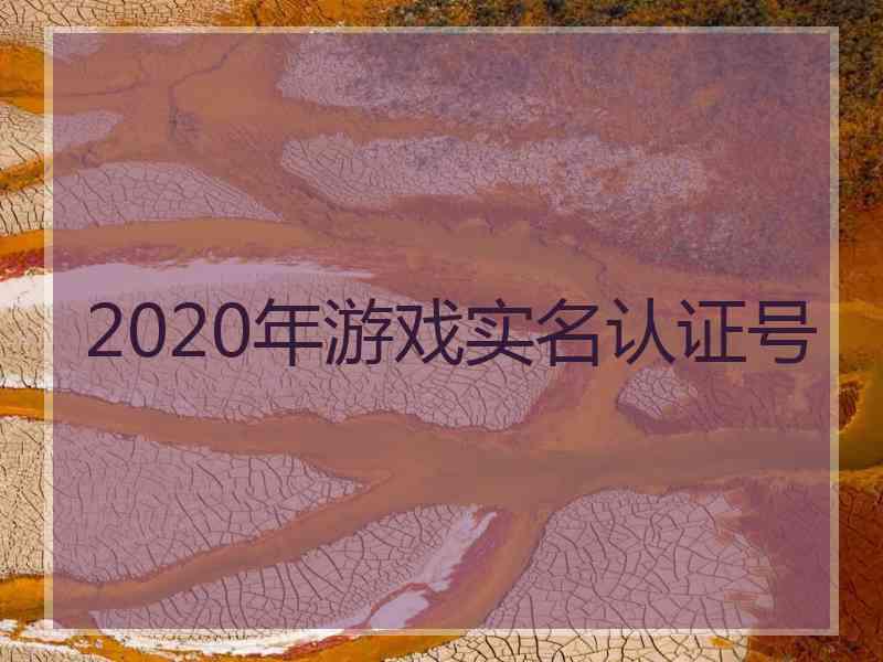 2020年游戏实名认证号