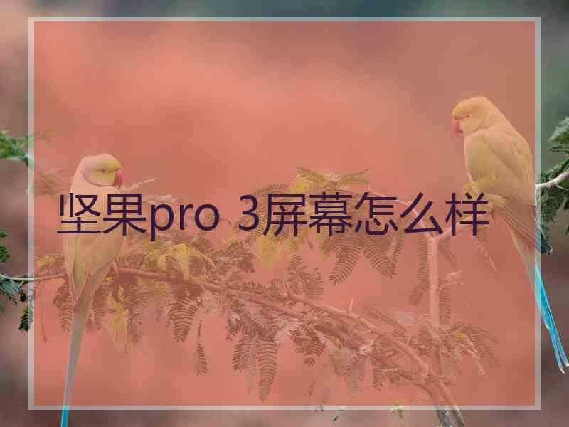 坚果pro 3屏幕怎么样