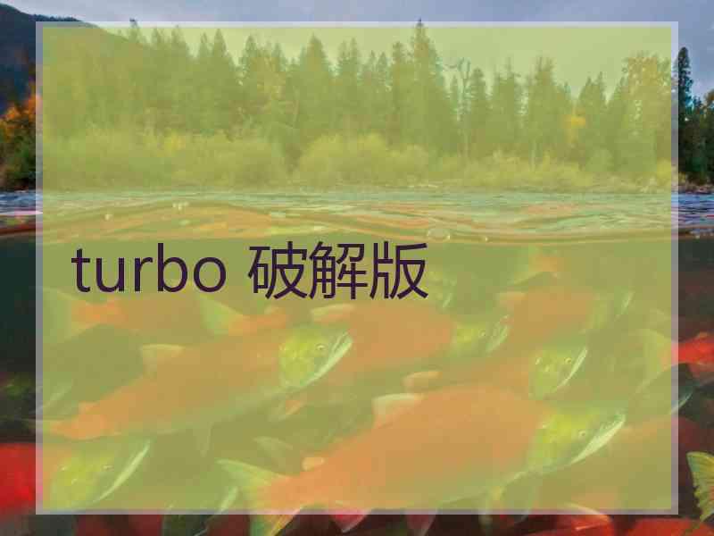 turbo 破解版