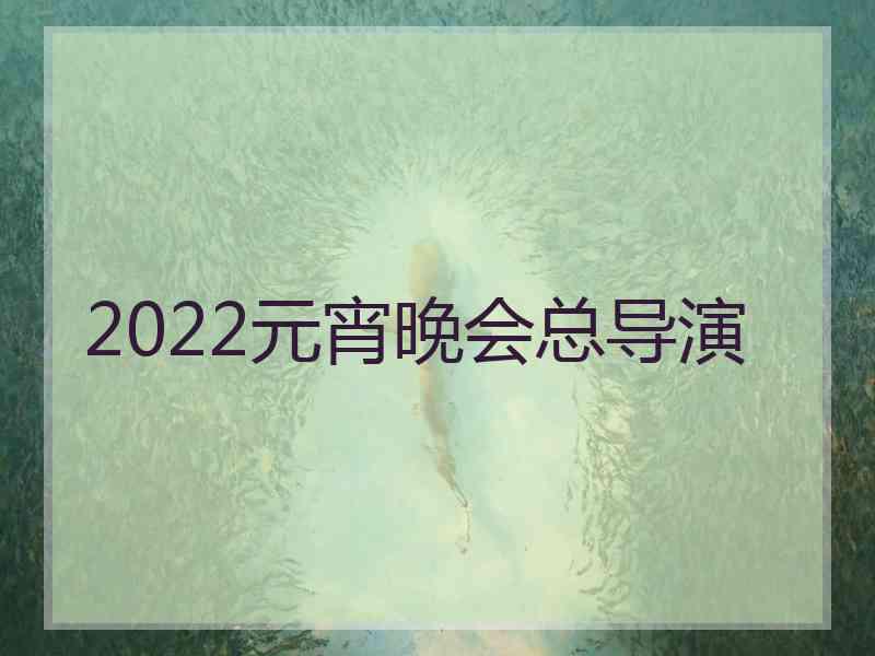 2022元宵晚会总导演