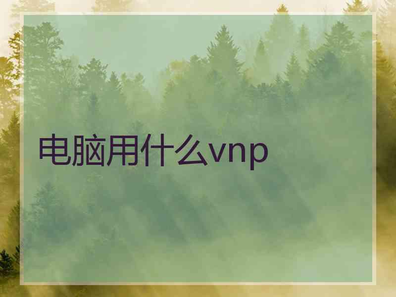 电脑用什么vnp