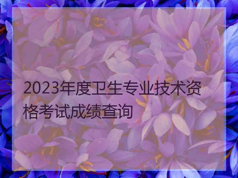 2023年度卫生专业技术资格考试成绩查询