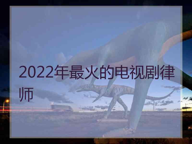 2022年最火的电视剧律师