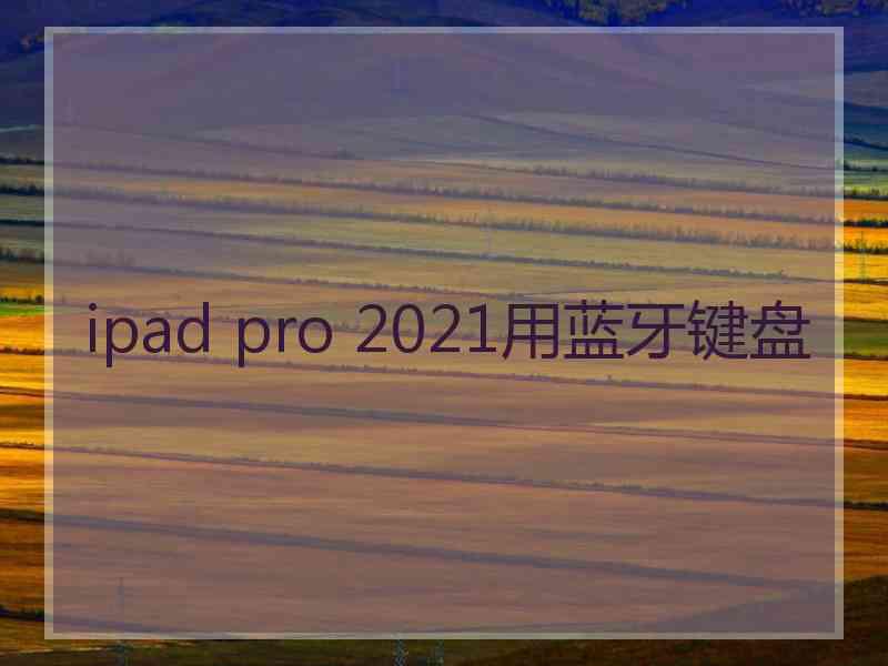 ipad pro 2021用蓝牙键盘