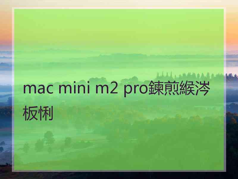 mac mini m2 pro鍊煎緱涔板悧