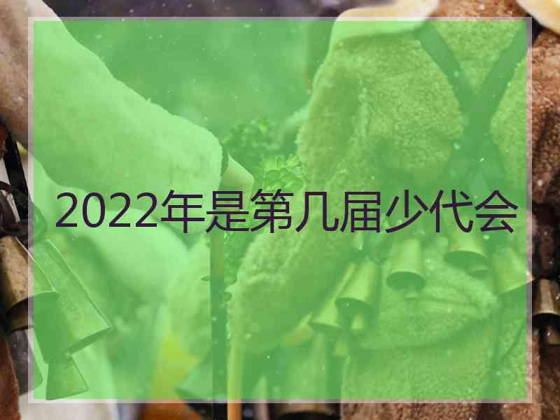 2022年是第几届少代会