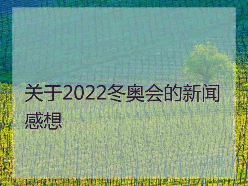 关于2022冬奥会的新闻感想