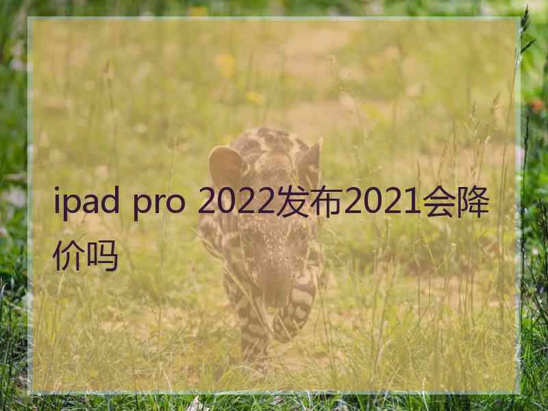 ipad pro 2022发布2021会降价吗