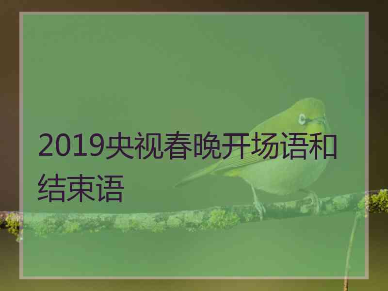 2019央视春晚开场语和结束语