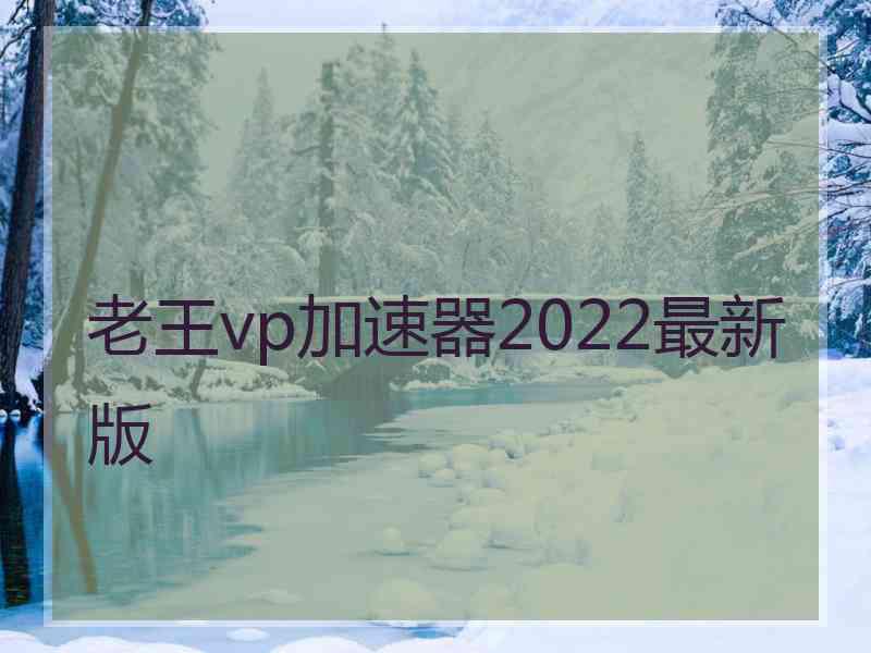 老王vp加速器2022最新版