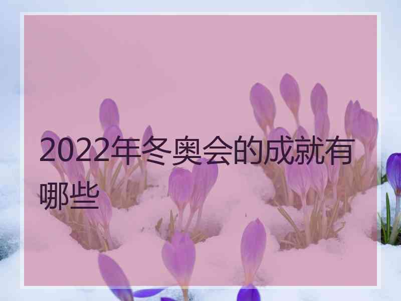 2022年冬奥会的成就有哪些