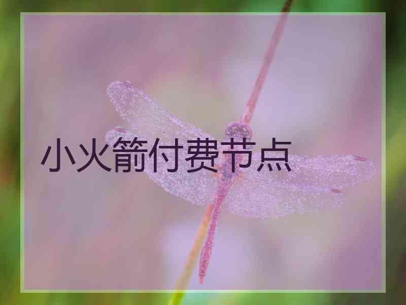 小火箭付费节点