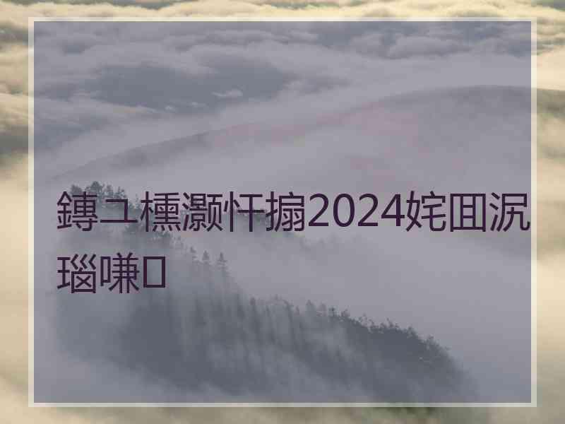 鏄ユ櫄灏忓搧2024姹囬泦瑙嗛