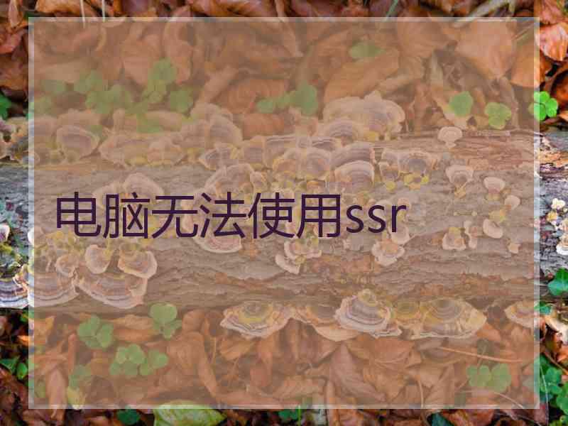 电脑无法使用ssr