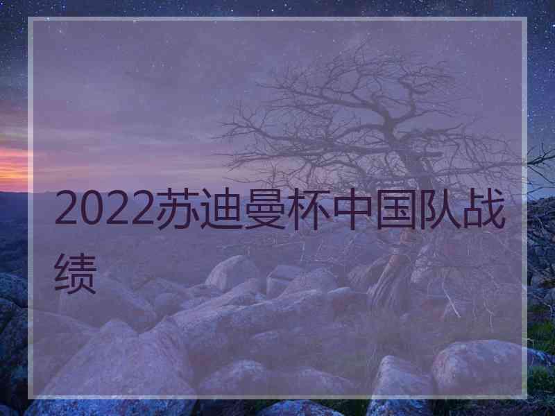 2022苏迪曼杯中国队战绩