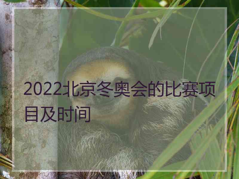 2022北京冬奥会的比赛项目及时间