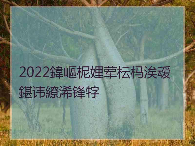 2022鍏嶇柅娌荤枟杩涘叆鍖讳繚浠锋牸