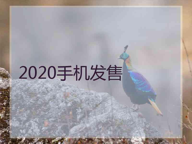 2020手机发售