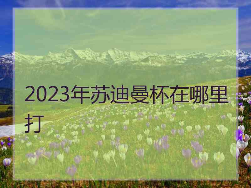 2023年苏迪曼杯在哪里打